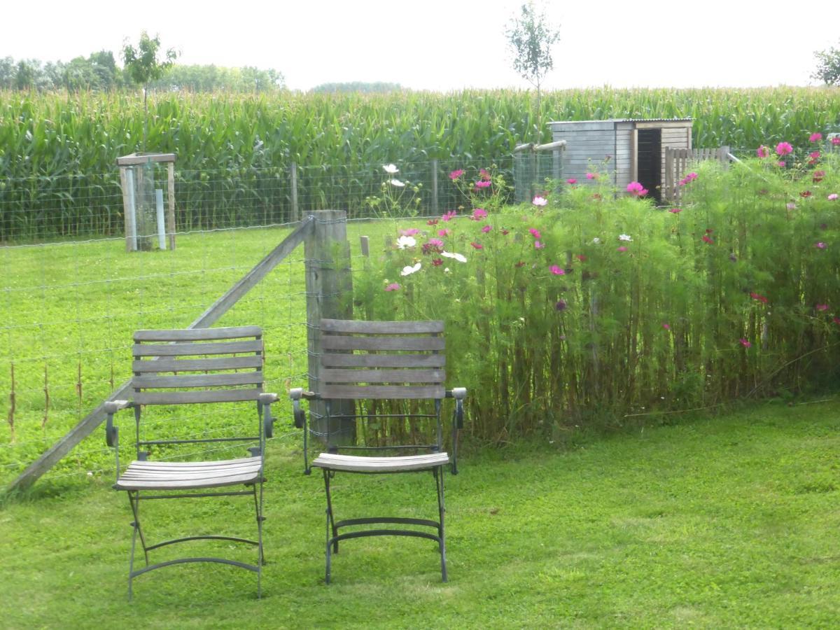 Bed and Breakfast De Zevende Zon à Poperinge Extérieur photo
